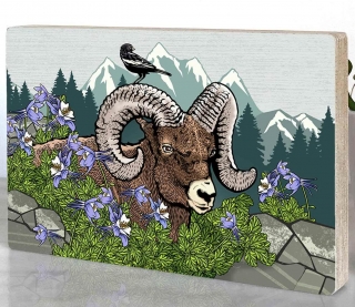 Big Horn Ram Coasters product image