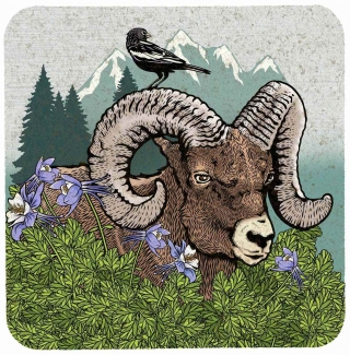 Big Horn Ram Plaque product image