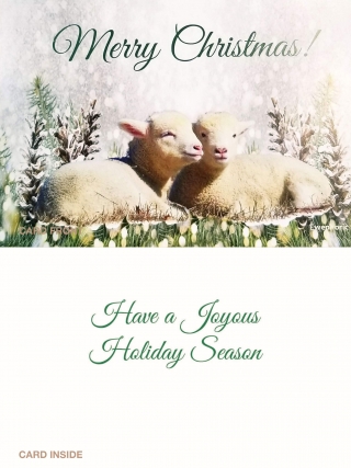 New! Lambs in Pine Cones Christmas Card product image